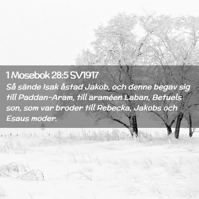 Picture 02 - 1 Mosebok 28:5 SV1917 - Så sände Isak åstad Jakob, och denne begav sig - Bible Verse Picture