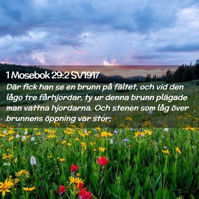 Picture 02 - 1 Mosebok 29:2 SV1917 - Där fick han se en brunn på fältet, och vid - Bible Verse Picture