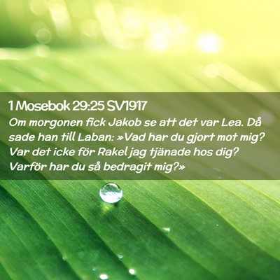 Picture 02 - 1 Mosebok 29:25 SV1917 - Om morgonen fick Jakob se att det var Lea. Då - Bible Verse Picture