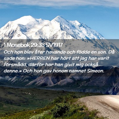 Picture 02 - 1 Mosebok 29:33 SV1917 - Och hon blev åter havande och födde en son. Då - Bible Verse Picture