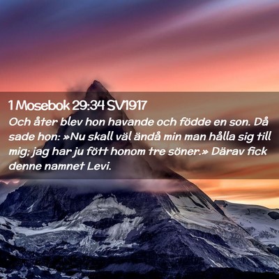 Picture 02 - 1 Mosebok 29:34 SV1917 - Och åter blev hon havande och födde en son. Då - Bible Verse Picture