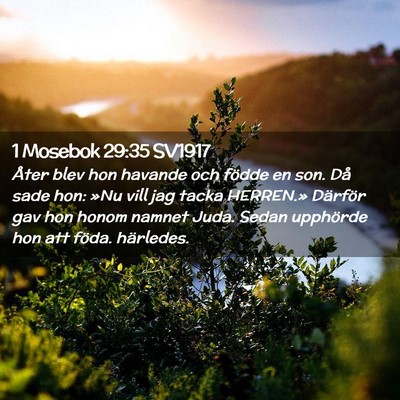 Picture 02 - 1 Mosebok 29:35 SV1917 - Åter blev hon havande och födde en son. Då - Bible Verse Picture