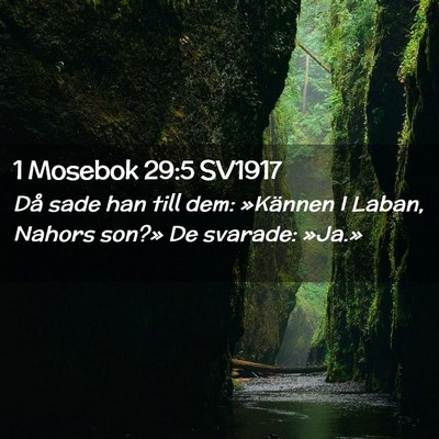 Picture 02 - 1 Mosebok 29:5 SV1917 - Då sade han till dem: »Kännen I Laban, Nahors - Bible Verse Picture