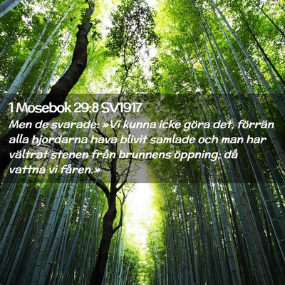 Picture 02 - 1 Mosebok 29:8 SV1917 - Men de svarade: »Vi kunna icke göra det, - Bible Verse Picture