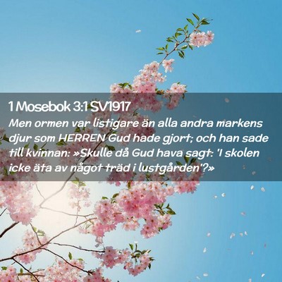 Picture 02 - 1 Mosebok 3:1 SV1917 - Men ormen var listigare än alla andra markens - Bible Verse Picture