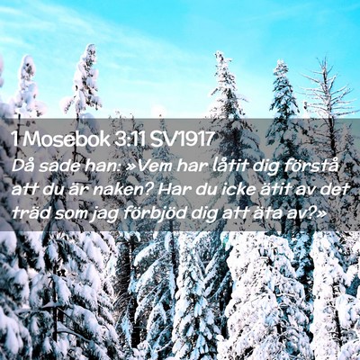 Picture 02 - 1 Mosebok 3:11 SV1917 - Då sade han: »Vem har låtit dig förstå att - Bible Verse Picture
