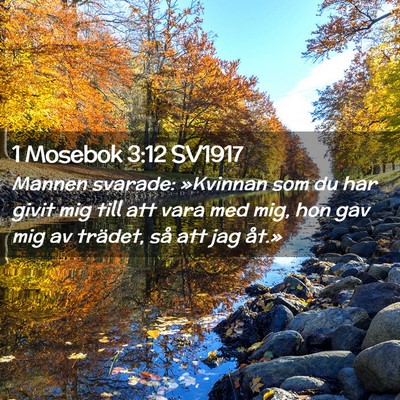 Picture 02 - 1 Mosebok 3:12 SV1917 - Mannen svarade: »Kvinnan som du har givit mig - Bible Verse Picture