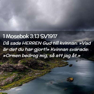 Picture 02 - 1 Mosebok 3:13 SV1917 - Då sade HERREN Gud till kvinnan: »Vad är det - Bible Verse Picture