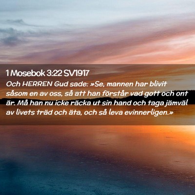 Picture 02 - 1 Mosebok 3:22 SV1917 - Och HERREN Gud sade: »Se, mannen har blivit - Bible Verse Picture