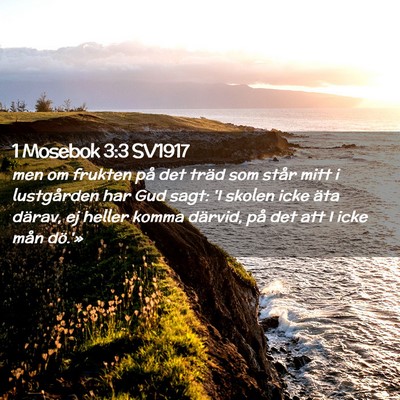 Picture 02 - 1 Mosebok 3:3 SV1917 - men om frukten på det träd som står mitt i - Bible Verse Picture