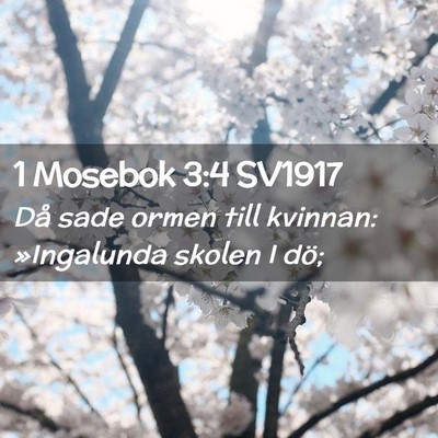 Picture 02 - 1 Mosebok 3:4 SV1917 - Då sade ormen till kvinnan: »Ingalunda skolen I - Bible Verse Picture