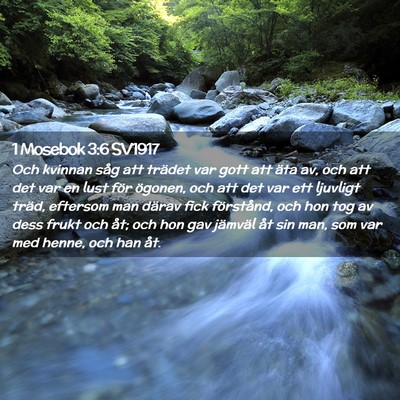 Picture 02 - 1 Mosebok 3:6 SV1917 - Och kvinnan såg att trädet var gott att äta - Bible Verse Picture