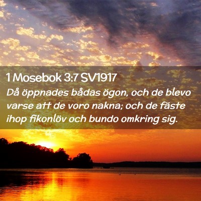 Picture 02 - 1 Mosebok 3:7 SV1917 - Då öppnades bådas ögon, och de blevo varse - Bible Verse Picture