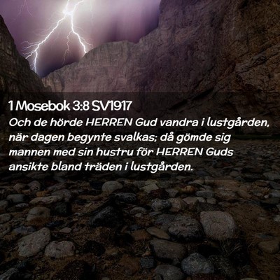 Picture 02 - 1 Mosebok 3:8 SV1917 - Och de hörde HERREN Gud vandra i lustgården, - Bible Verse Picture