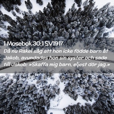 Picture 02 - 1 Mosebok 30:1 SV1917 - Då nu Rakel såg att hon icke födde barn åt - Bible Verse Picture
