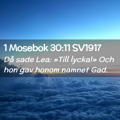 Picture 02 - 1 Mosebok 30:11 SV1917 - Då sade Lea: »Till lycka!» Och hon gav honom - Bible Verse Picture