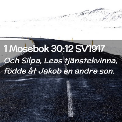 Picture 02 - 1 Mosebok 30:12 SV1917 - Och Silpa, Leas tjänstekvinna, födde åt Jakob - Bible Verse Picture