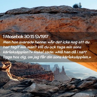 Picture 02 - 1 Mosebok 30:15 SV1917 - Men hon svarade henne: »Är det icke nog att du - Bible Verse Picture