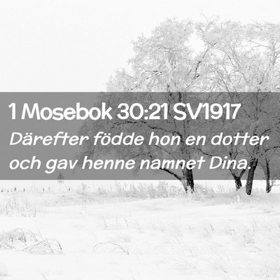 Picture 02 - 1 Mosebok 30:21 SV1917 - Därefter födde hon en dotter och gav henne - Bible Verse Picture