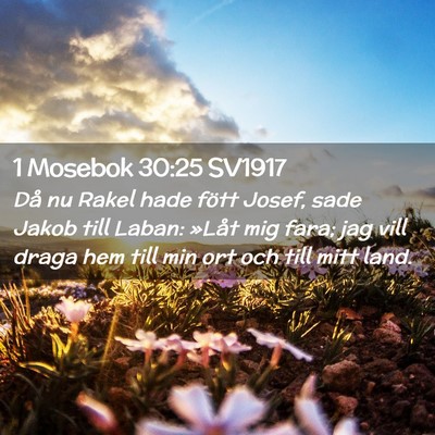 Picture 02 - 1 Mosebok 30:25 SV1917 - Då nu Rakel hade fött Josef, sade Jakob till - Bible Verse Picture