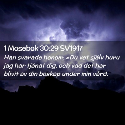 Picture 02 - 1 Mosebok 30:29 SV1917 - Han svarade honom: »Du vet själv huru jag har - Bible Verse Picture