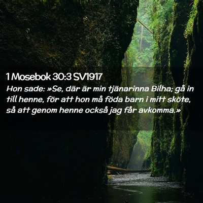 Picture 02 - 1 Mosebok 30:3 SV1917 - Hon sade: »Se, där är min tjänarinna Bilha; - Bible Verse Picture