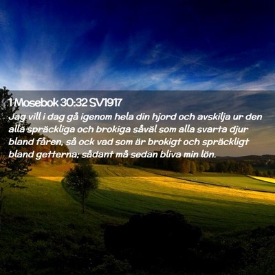 Picture 02 - 1 Mosebok 30:32 SV1917 - Jag vill i dag gå igenom hela din hjord och - Bible Verse Picture