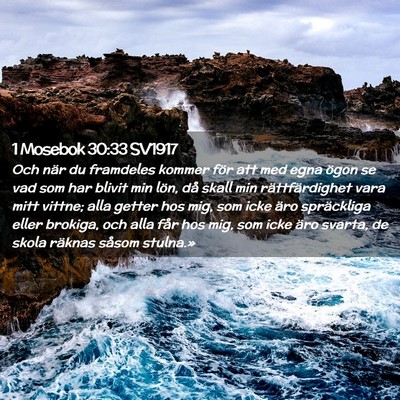 Picture 02 - 1 Mosebok 30:33 SV1917 - Och när du framdeles kommer för att med egna - Bible Verse Picture