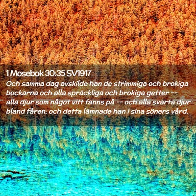 Picture 02 - 1 Mosebok 30:35 SV1917 - Och samma dag avskilde han de strimmiga och - Bible Verse Picture