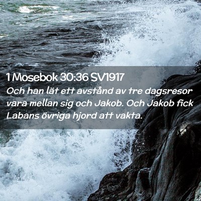Picture 02 - 1 Mosebok 30:36 SV1917 - Och han lät ett avstånd av tre dagsresor vara - Bible Verse Picture