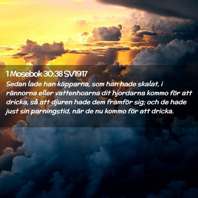 Picture 02 - 1 Mosebok 30:38 SV1917 - Sedan lade han käpparna, som han hade skalat, i - Bible Verse Picture