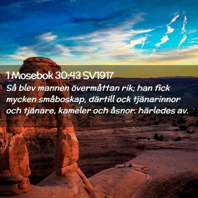 Picture 02 - 1 Mosebok 30:43 SV1917 - Så blev mannen övermåttan rik; han fick mycken - Bible Verse Picture