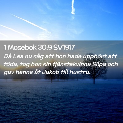 Picture 02 - 1 Mosebok 30:9 SV1917 - Då Lea nu såg att hon hade upphört att föda, - Bible Verse Picture