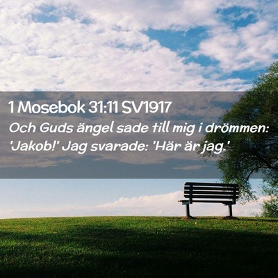 Picture 02 - 1 Mosebok 31:11 SV1917 - Och Guds ängel sade till mig i drömmen: - Bible Verse Picture