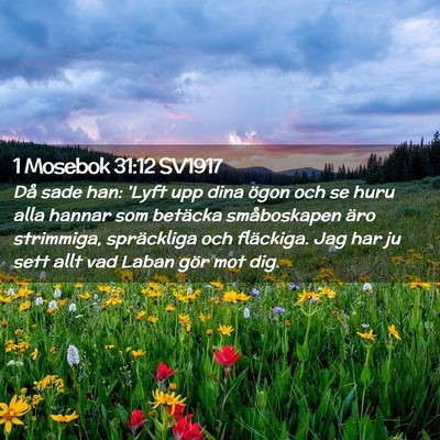 Picture 02 - 1 Mosebok 31:12 SV1917 - Då sade han: 'Lyft upp dina ögon och se huru - Bible Verse Picture