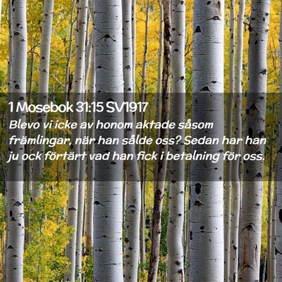 Picture 02 - 1 Mosebok 31:15 SV1917 - Blevo vi icke av honom aktade såsom främlingar, - Bible Verse Picture