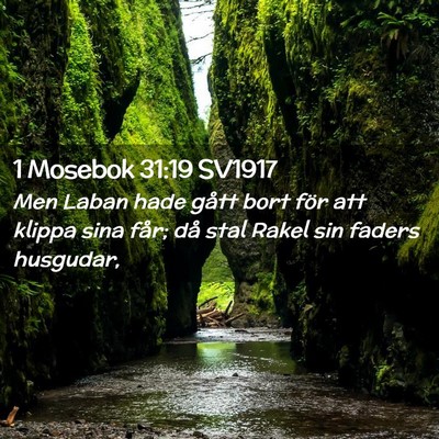 Picture 02 - 1 Mosebok 31:19 SV1917 - Men Laban hade gått bort för att klippa sina - Bible Verse Picture