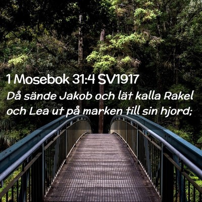 Picture 02 - 1 Mosebok 31:4 SV1917 - Då sände Jakob och lät kalla Rakel och Lea ut - Bible Verse Picture