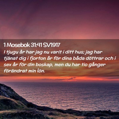 Picture 02 - 1 Mosebok 31:41 SV1917 - I tjugu år har jag nu varit i ditt hus; jag har - Bible Verse Picture
