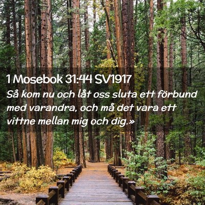 Picture 02 - 1 Mosebok 31:44 SV1917 - Så kom nu och låt oss sluta ett förbund med - Bible Verse Picture