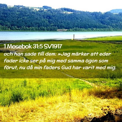 Picture 02 - 1 Mosebok 31:5 SV1917 - och han sade till dem: »Jag märker att eder - Bible Verse Picture
