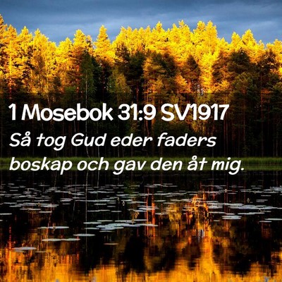 Picture 02 - 1 Mosebok 31:9 SV1917 - Så tog Gud eder faders boskap och gav den åt - Bible Verse Picture