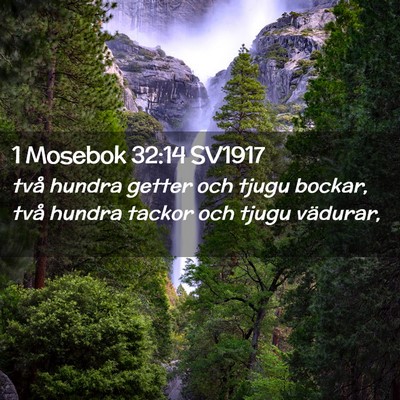 Picture 02 - 1 Mosebok 32:14 SV1917 - två hundra getter och tjugu bockar, två hundra - Bible Verse Picture
