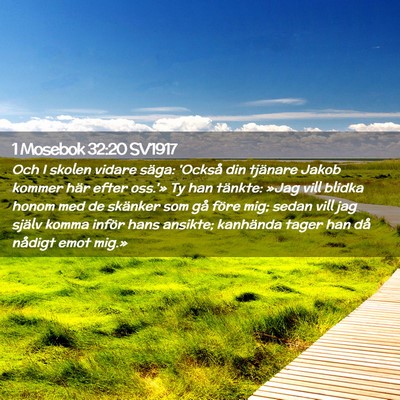 Picture 02 - 1 Mosebok 32:20 SV1917 - Och I skolen vidare säga: 'Också din tjänare - Bible Verse Picture