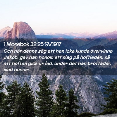 Picture 02 - 1 Mosebok 32:25 SV1917 - Och när denne såg att han icke kunde övervinna - Bible Verse Picture
