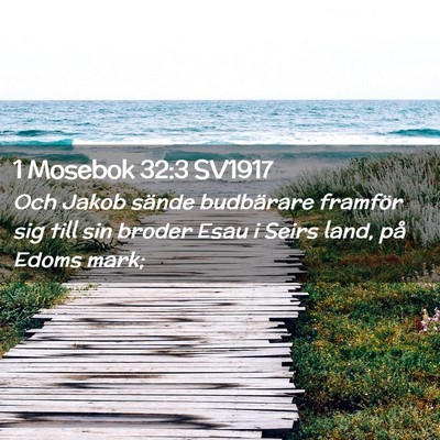 Picture 02 - 1 Mosebok 32:3 SV1917 - Och Jakob sände budbärare framför sig till sin - Bible Verse Picture