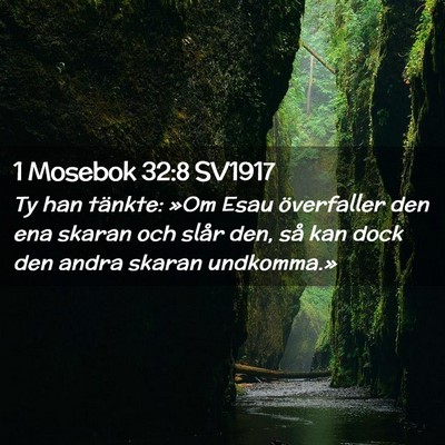 Picture 02 - 1 Mosebok 32:8 SV1917 - Ty han tänkte: »Om Esau överfaller den ena - Bible Verse Picture