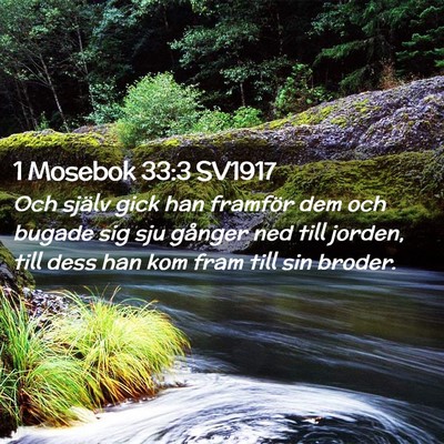 Picture 02 - 1 Mosebok 33:3 SV1917 - Och själv gick han framför dem och bugade sig - Bible Verse Picture