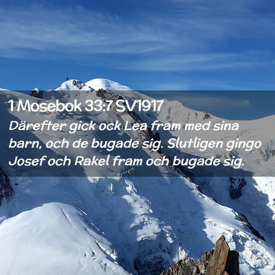 Picture 02 - 1 Mosebok 33:7 SV1917 - Därefter gick ock Lea fram med sina barn, och de - Bible Verse Picture