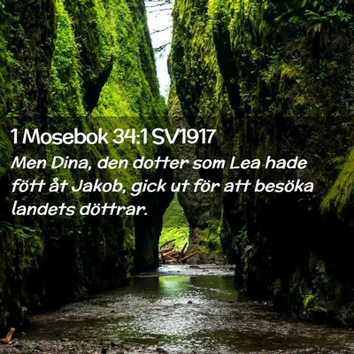 Picture 02 - 1 Mosebok 34:1 SV1917 - Men Dina, den dotter som Lea hade fött åt - Bible Verse Picture